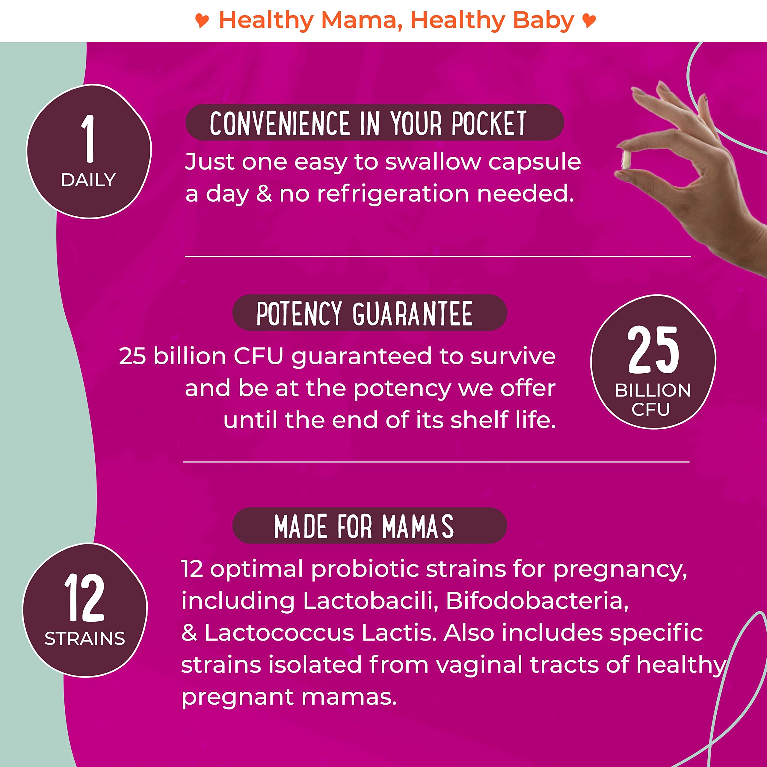 Premium Prenatal Bundle of 2 - Organic Prenatal Multi & Natural Probiotics - Essential Nutrition for Women