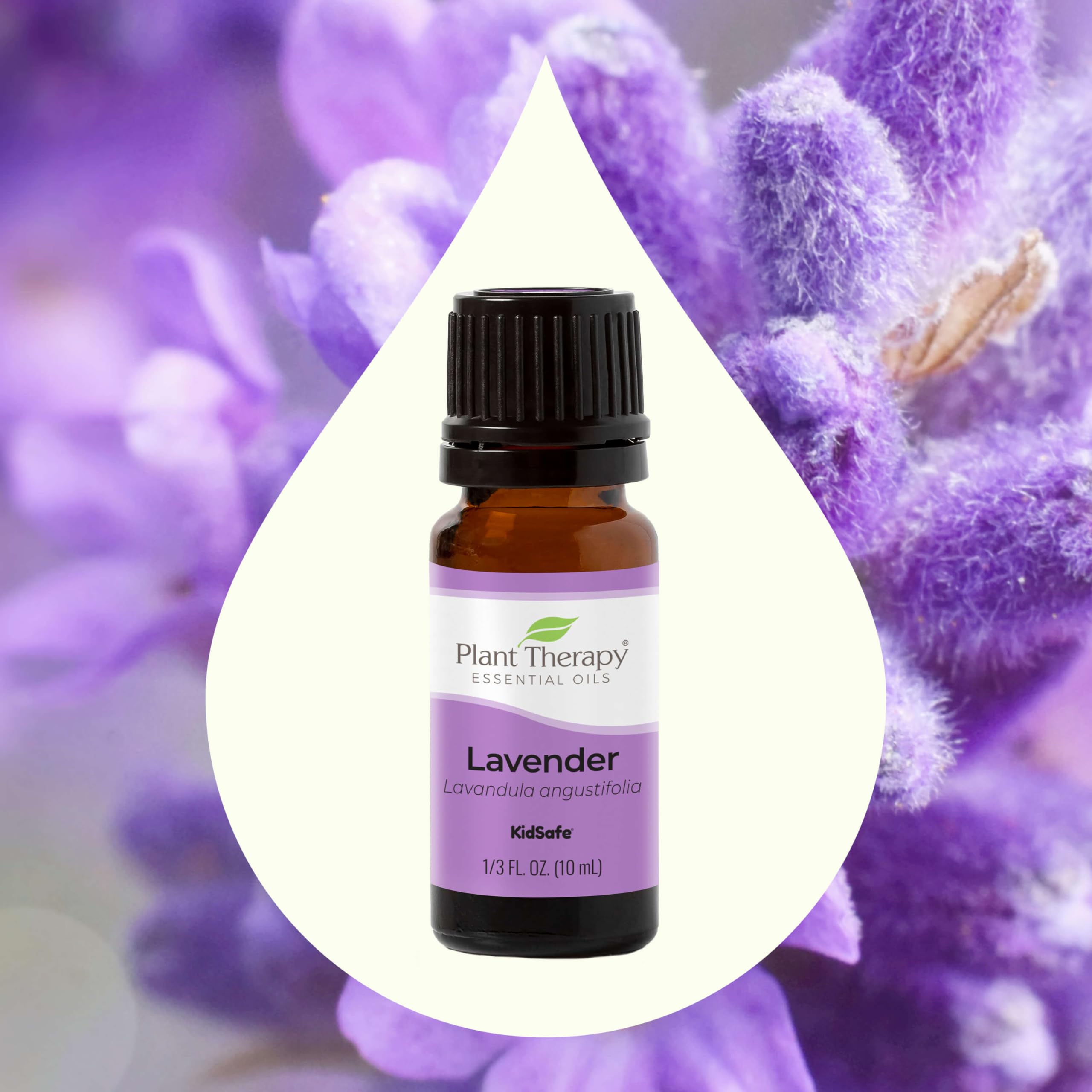 Plant Therapy Lavender Essential Oil 100% Pure, Undiluted, Therapeutic Grade, Aromatherapy Diffuser