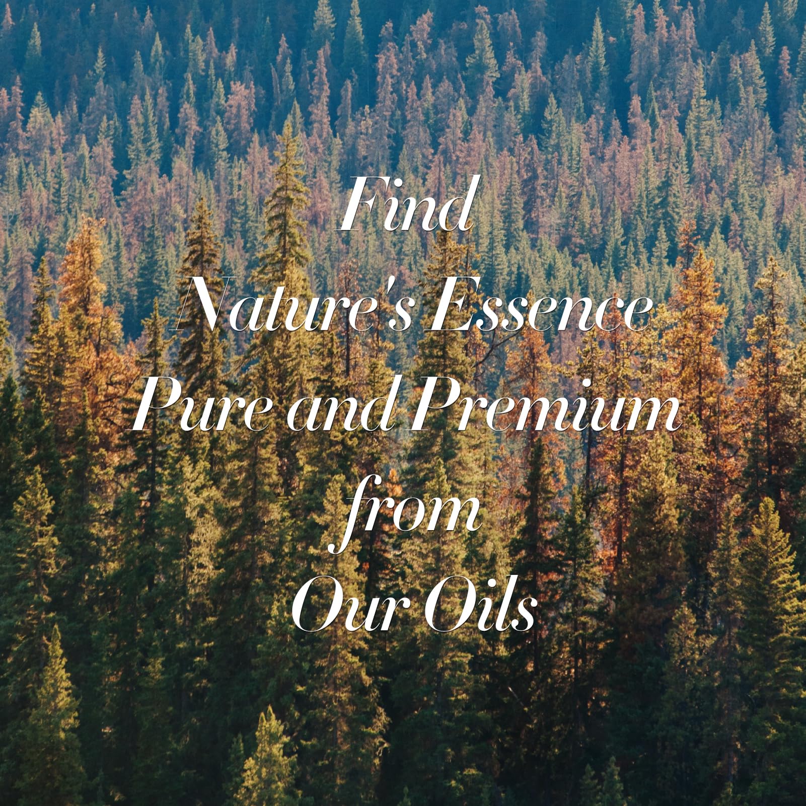 JCLOUD My Way Essential Oil for Diffuser - Hotel Collection Diffuser Oil & Home Luxury Scents – Pure