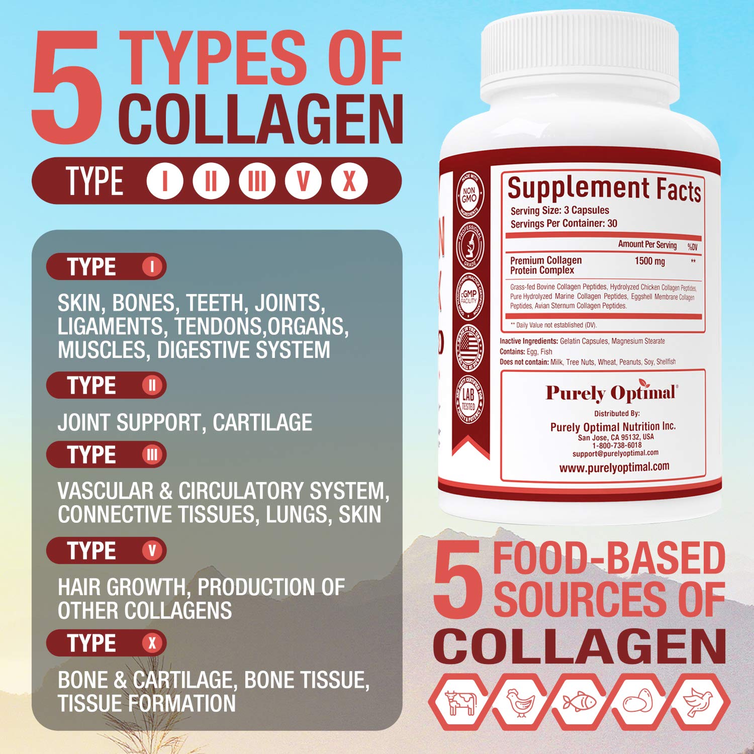 Purely Optimal Premium Multi Collagen Peptides Capsules (Types I, II, III, V, X) - Hair