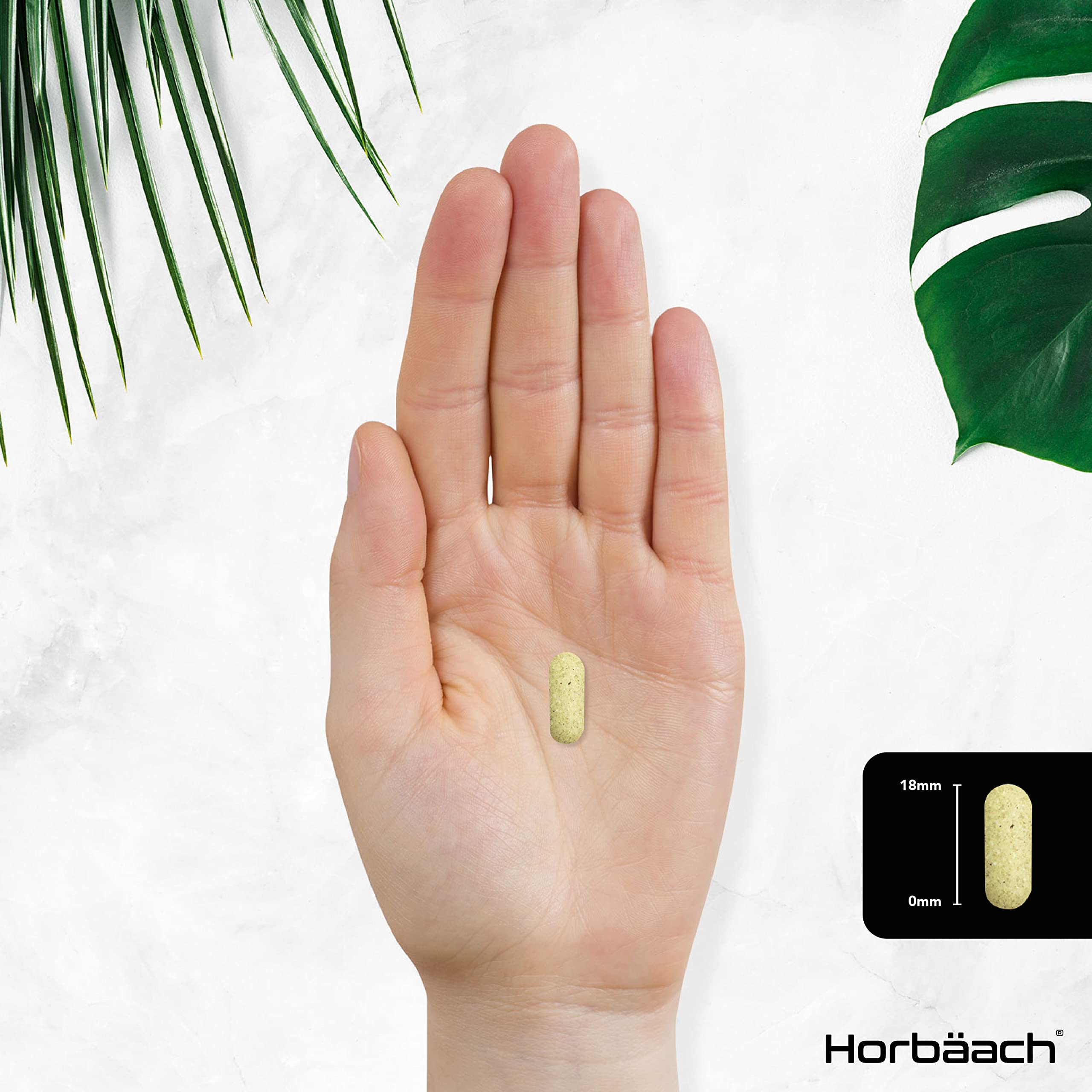 Multivitamin Tablets for Men and Women | 365 Count | with 24 Essential Nutrients