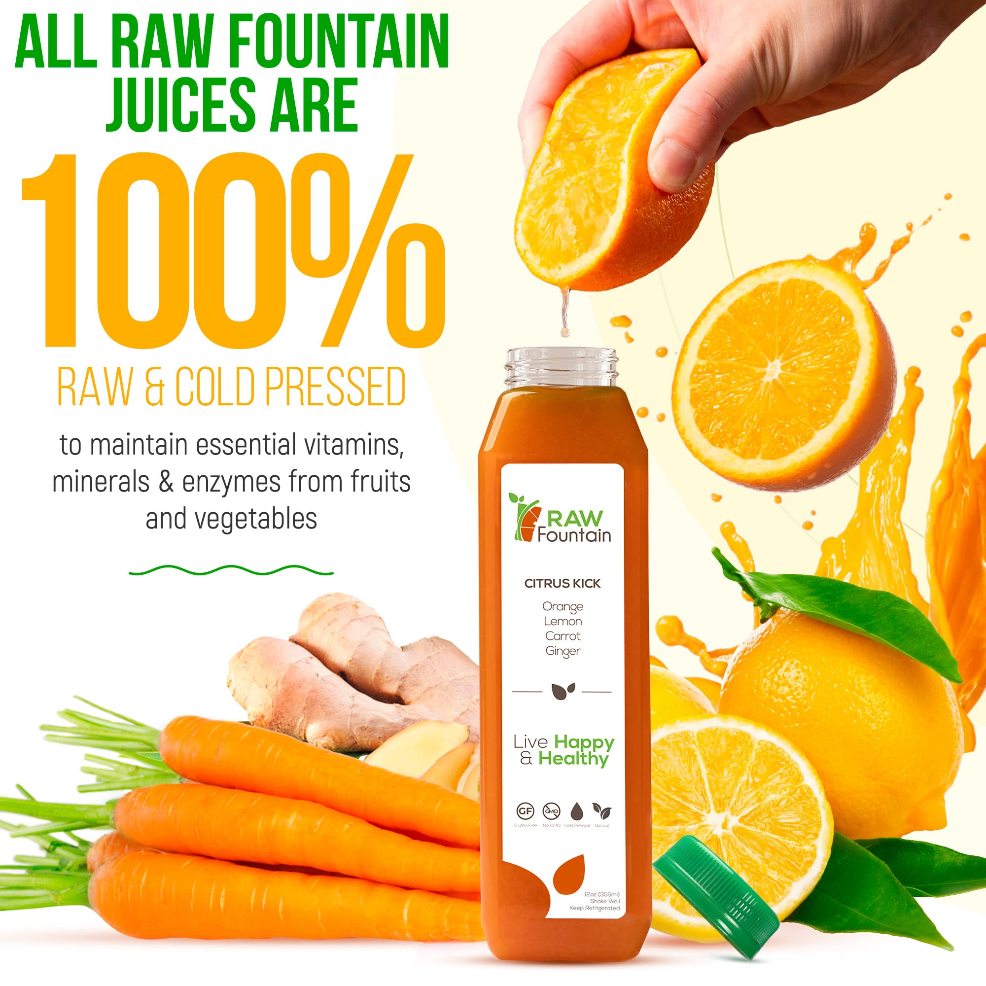 1 Day Green Juice Cleanse by Raw Fountain, All Natural Raw, Vegan Detox, Cold Pressed