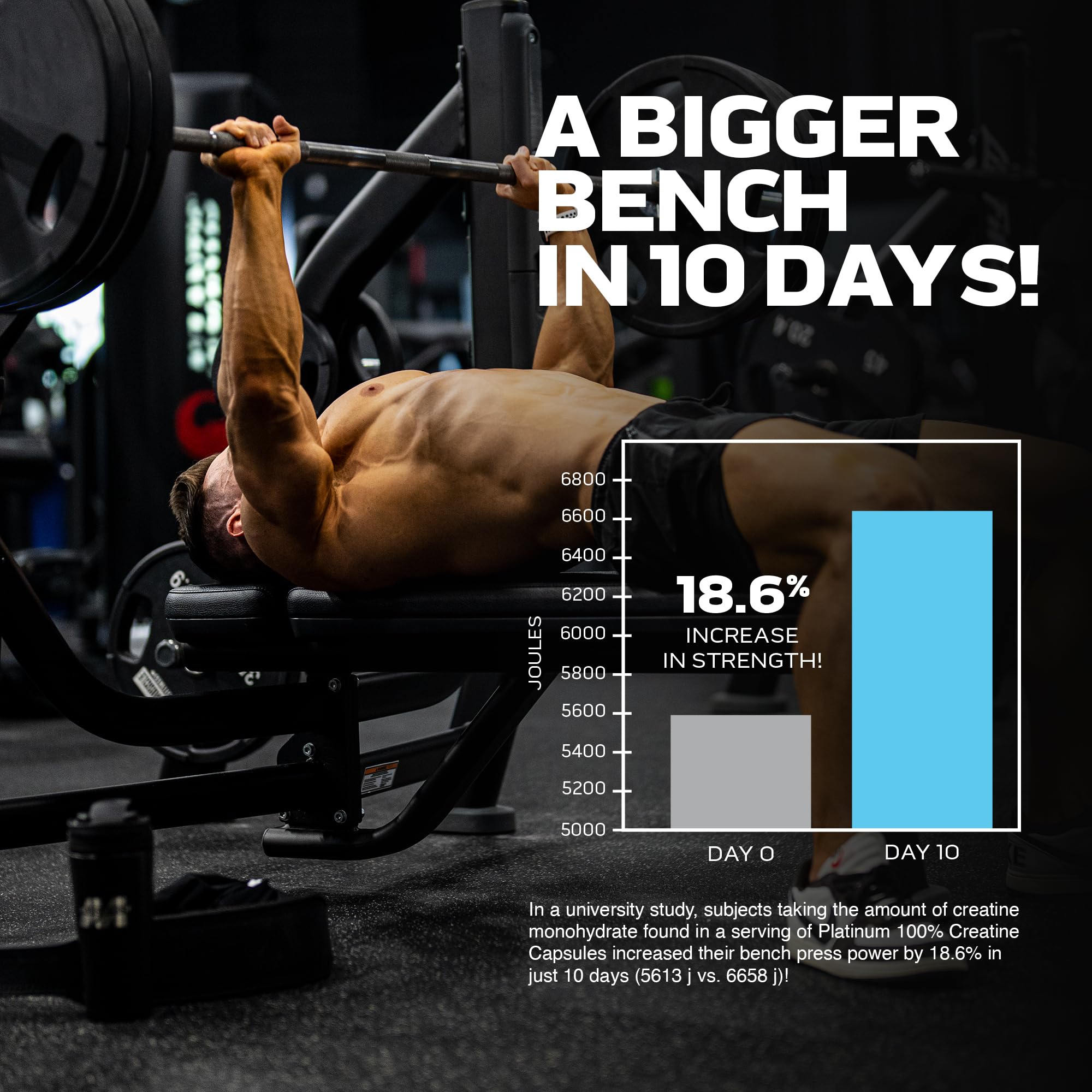 MuscleTech Platinum 100% Creatine Pills | Creatine Monohydrate Pill| | Muscle Recovery