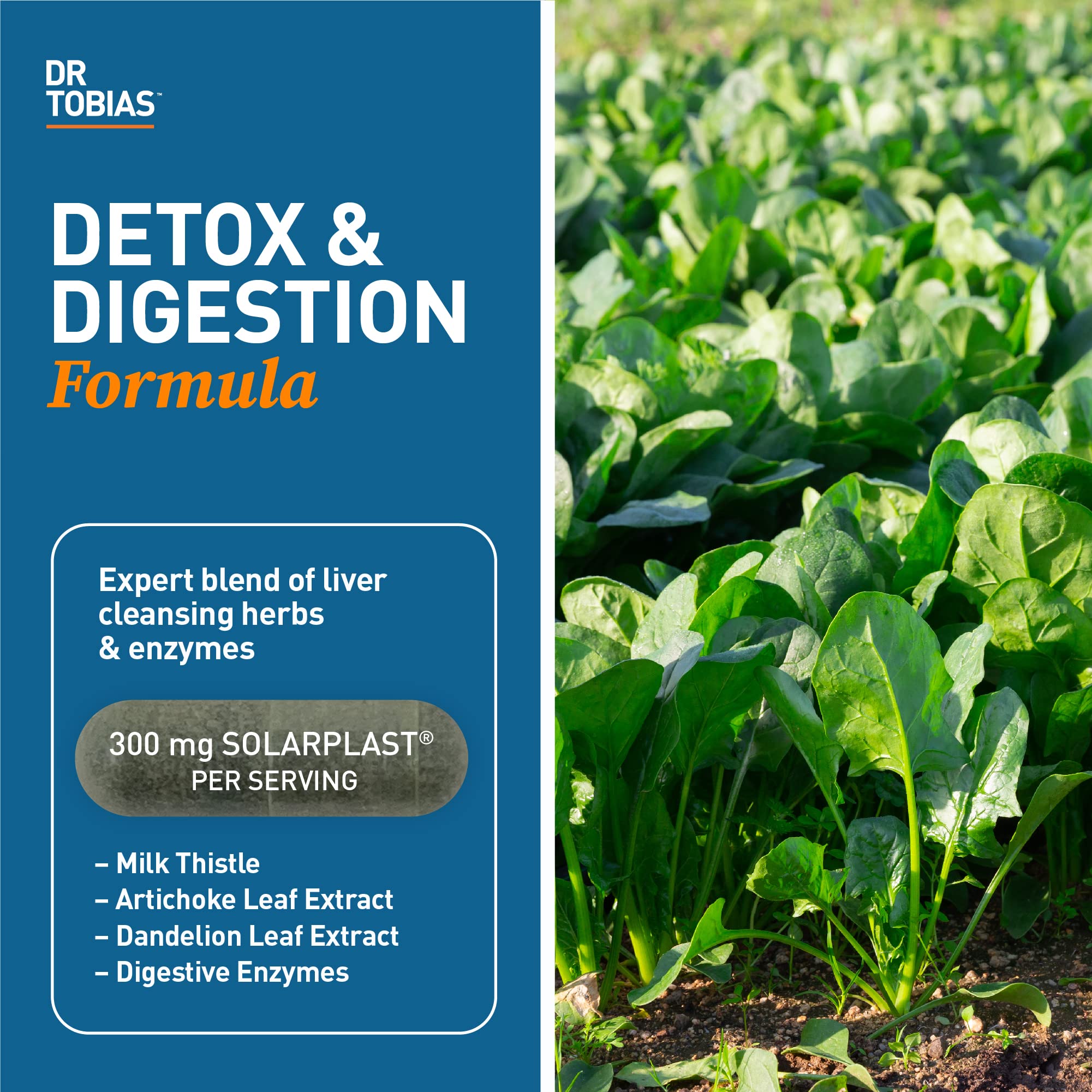 Dr. Tobias Liver 21 Day Cleanse, Herbal Liver Detox Cleanse with Solarplast, Artichoke Extra