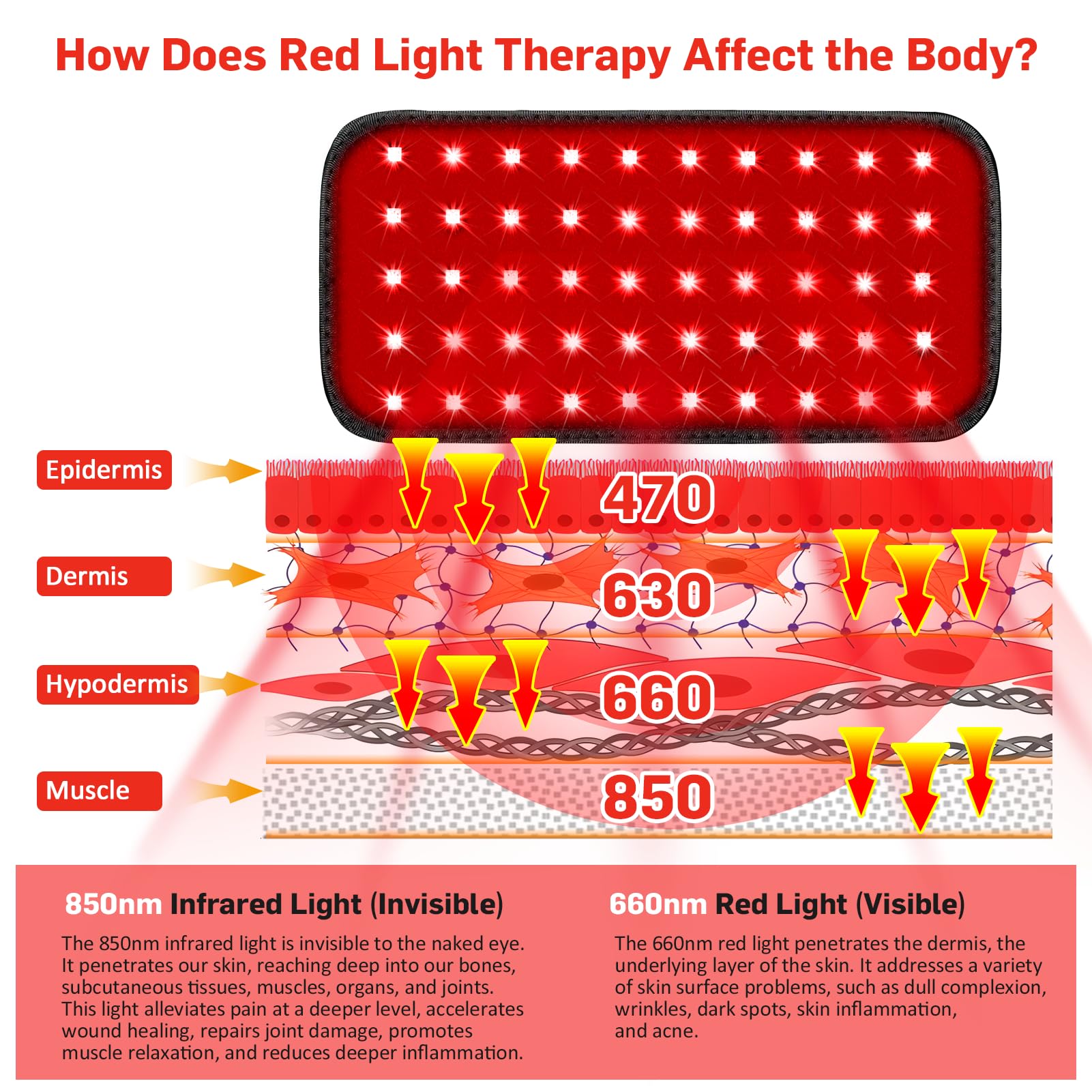 Red Light Therapy Belt, Infrared Light Therapy for Body, Wearable Wrap with Timer