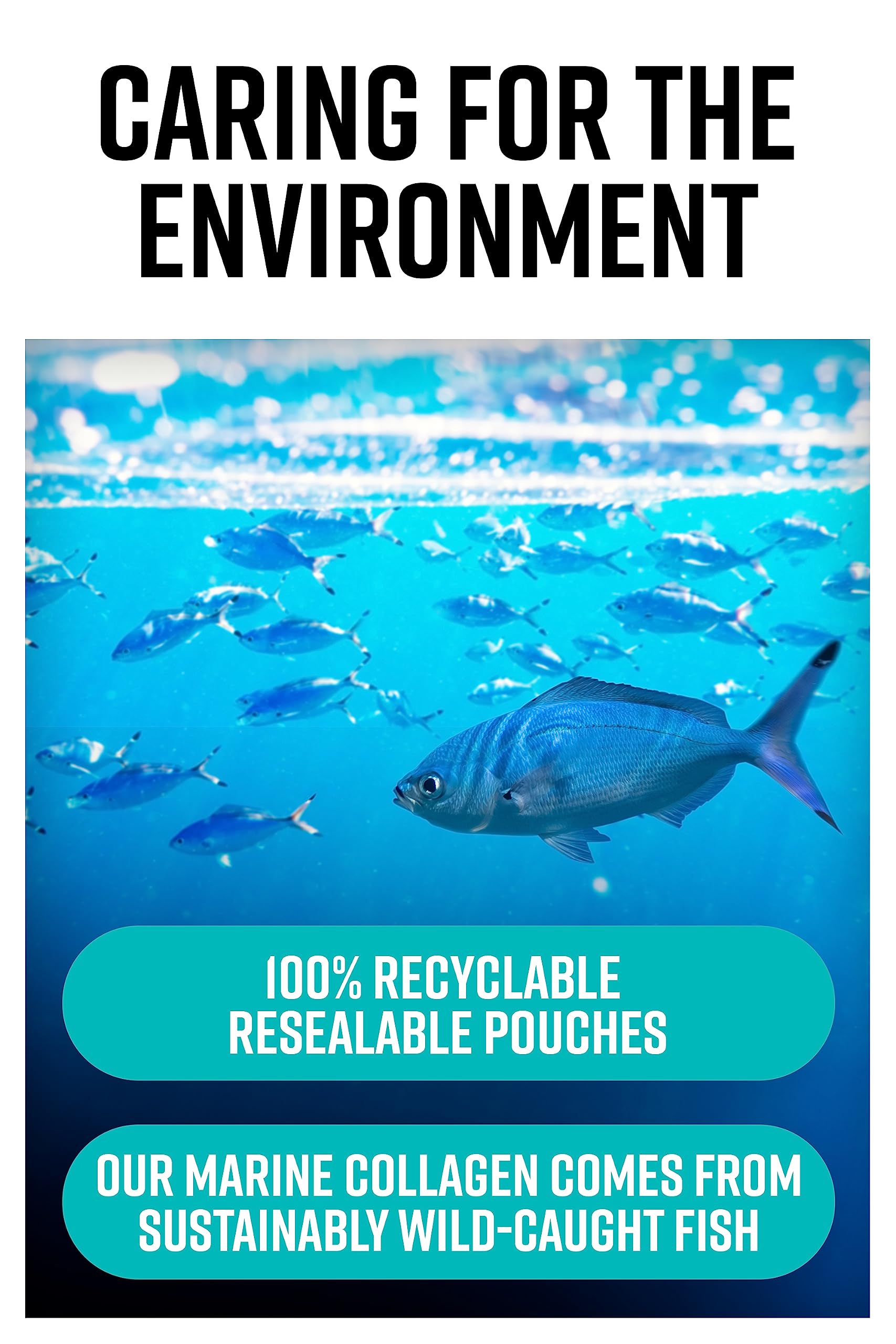 Hunter & Gather Collagen Powder Bundle | Hydrolysed Grass-Fed Bovine Collagen