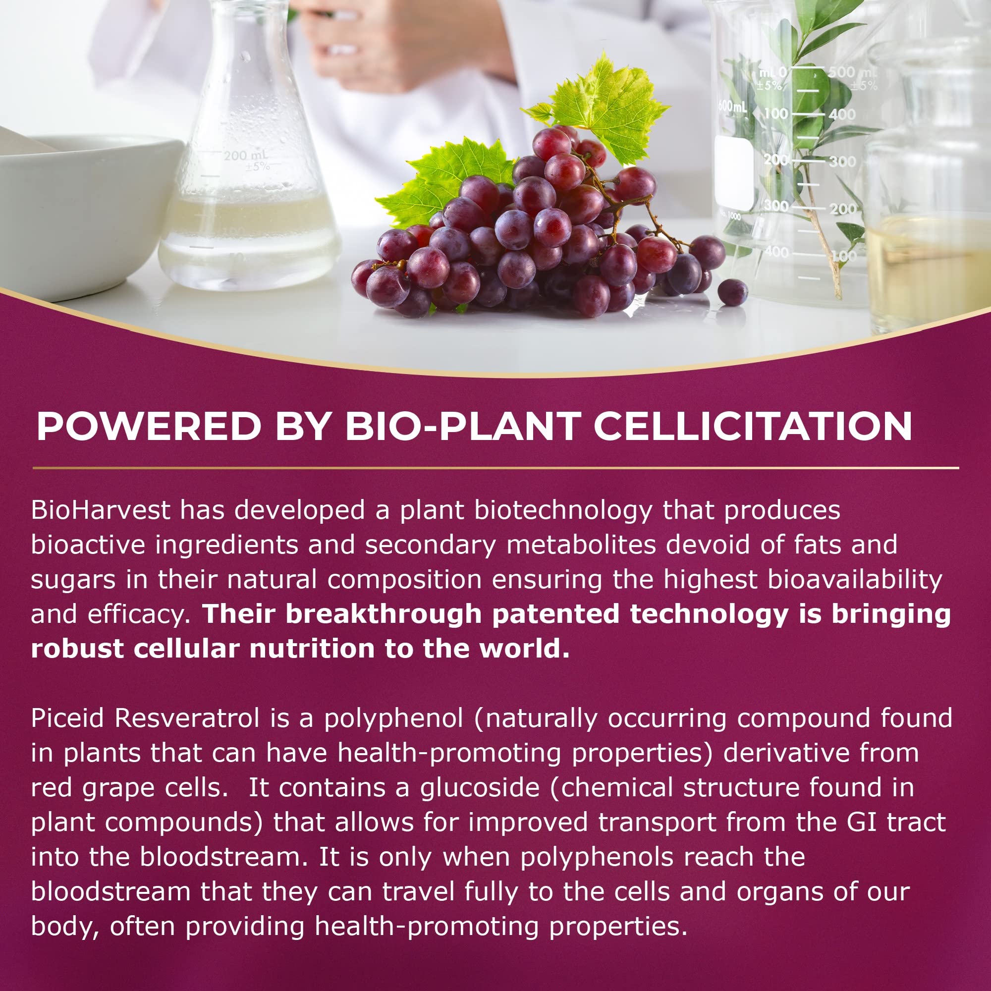 VINIA 12-Hour Sustained Release Piceid Resveratrol Supplement. Nitric Oxide Supplement