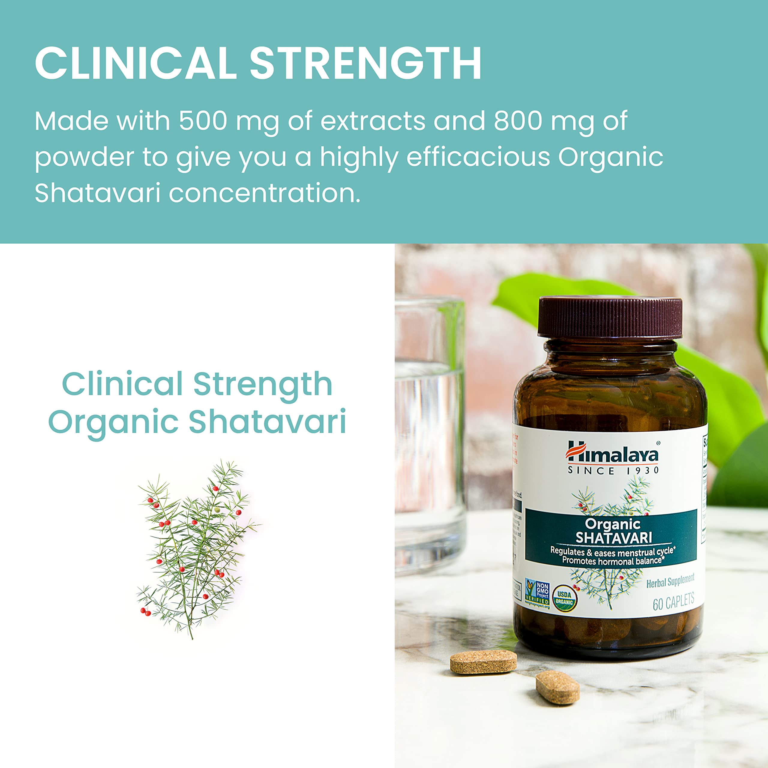 Himalaya Organic Shatavari for PMS, Menstrual Cramp Relief, Menopause Support, and Women's Health