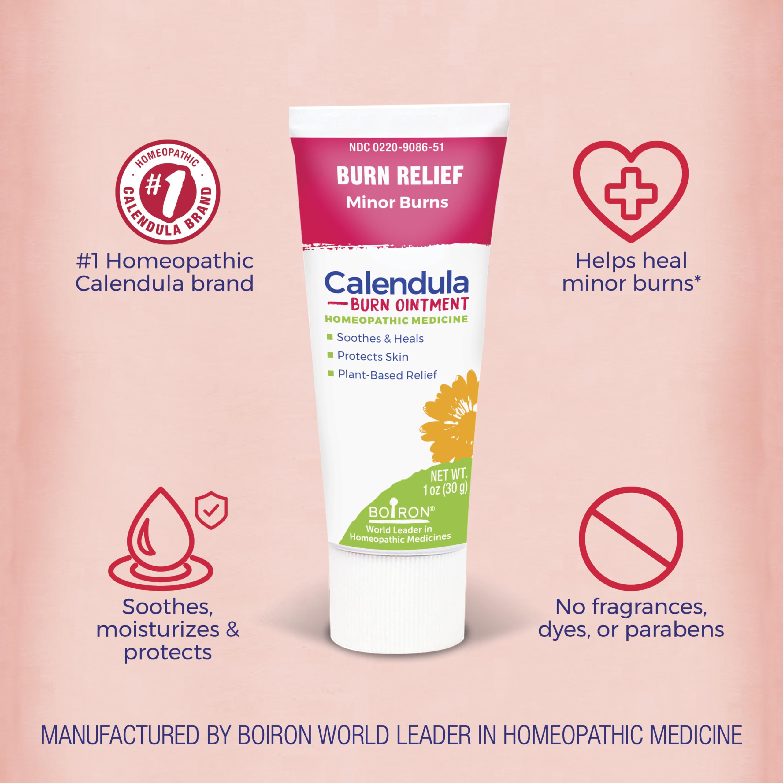 Boiron Calendula Burn Ointment for Relief from Minor Burns from Cooking, Friction, or Sunburns - 1 oz
