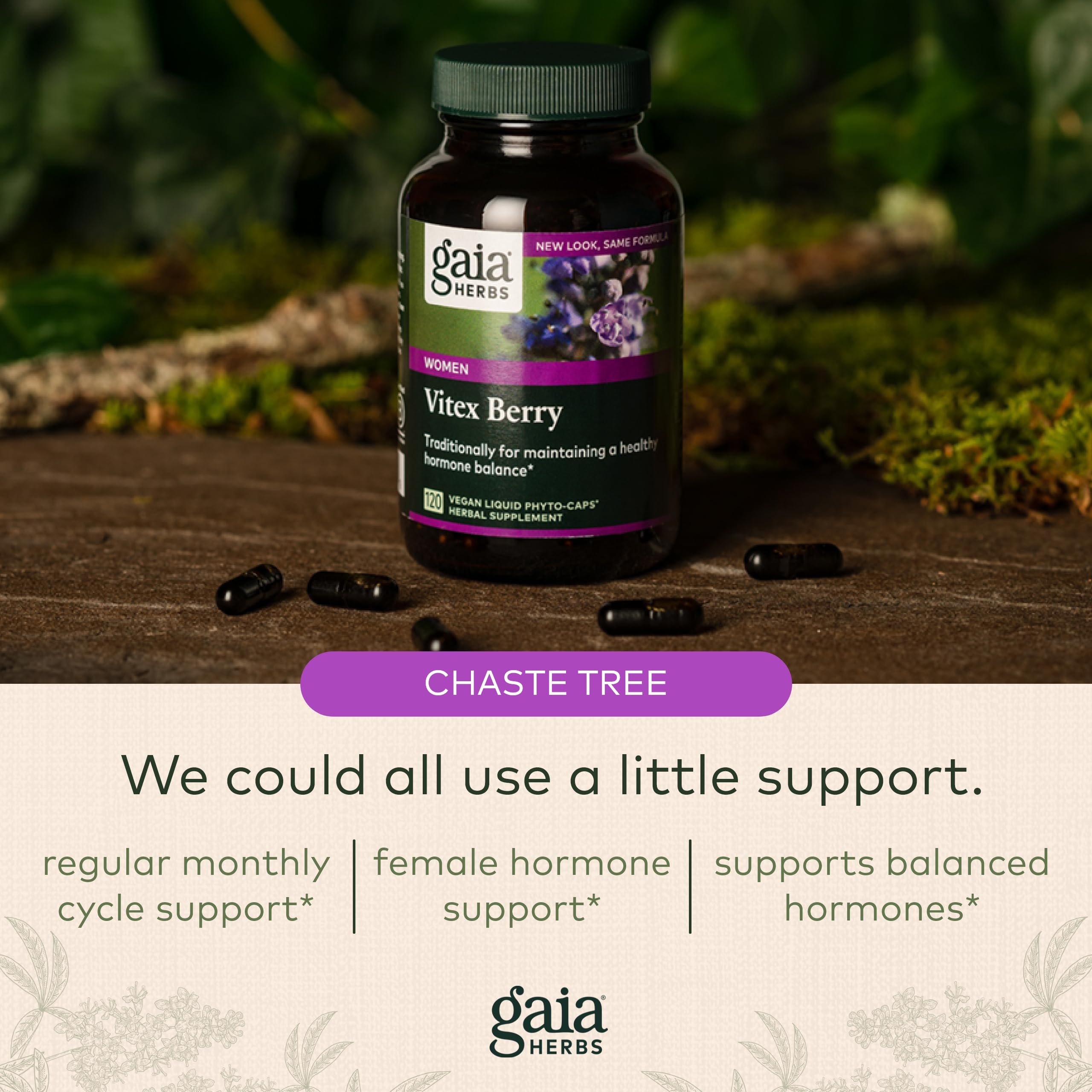Gaia Herbs, Vitex Berry Vegan Liquid Phyto Capsules - PMS Support Supplement, Chaste Tree berry