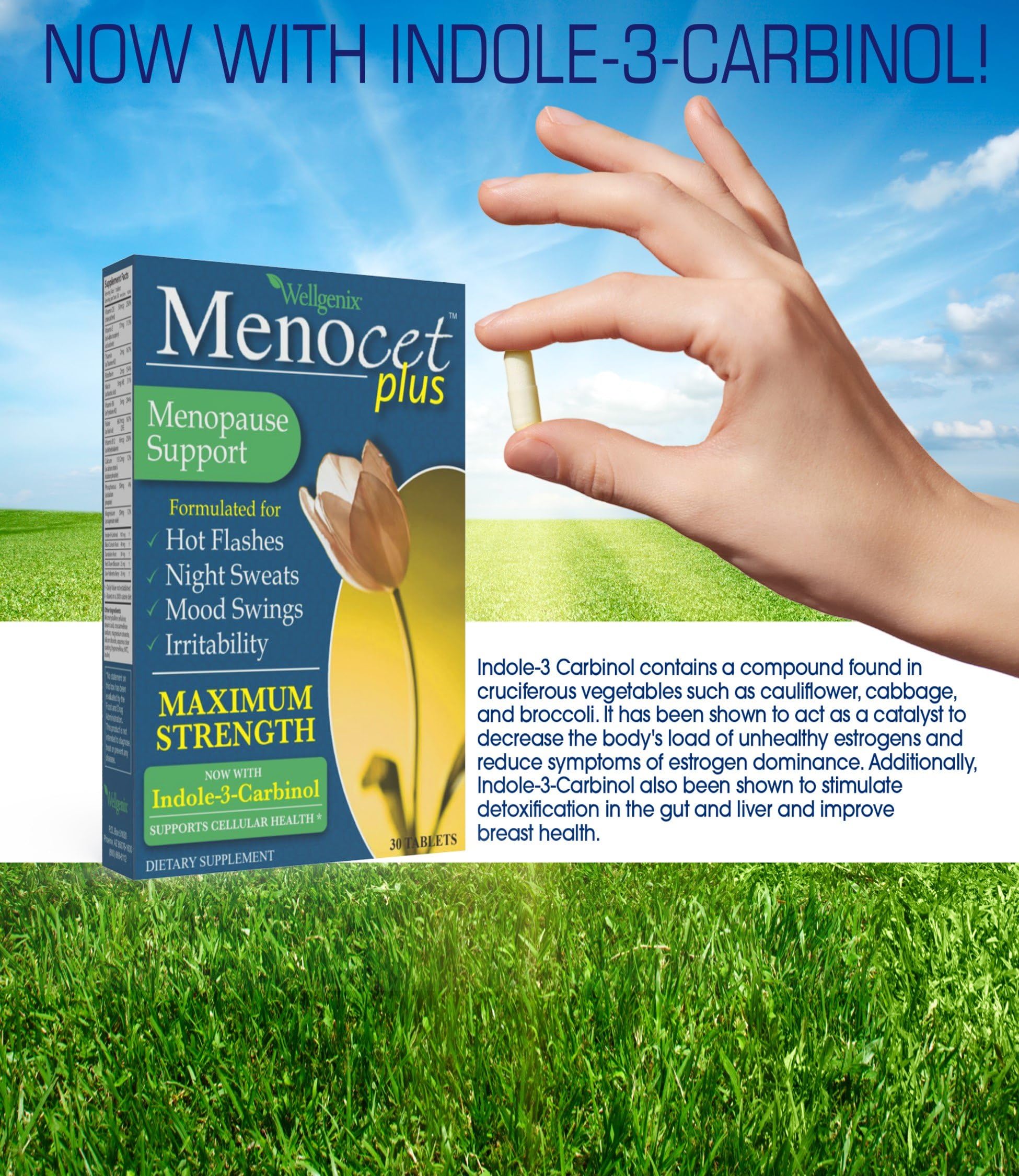 Wellgenix Menocet Plus Menopause Support - All-in-One Menopause Supplement - Daily Relief Feminine