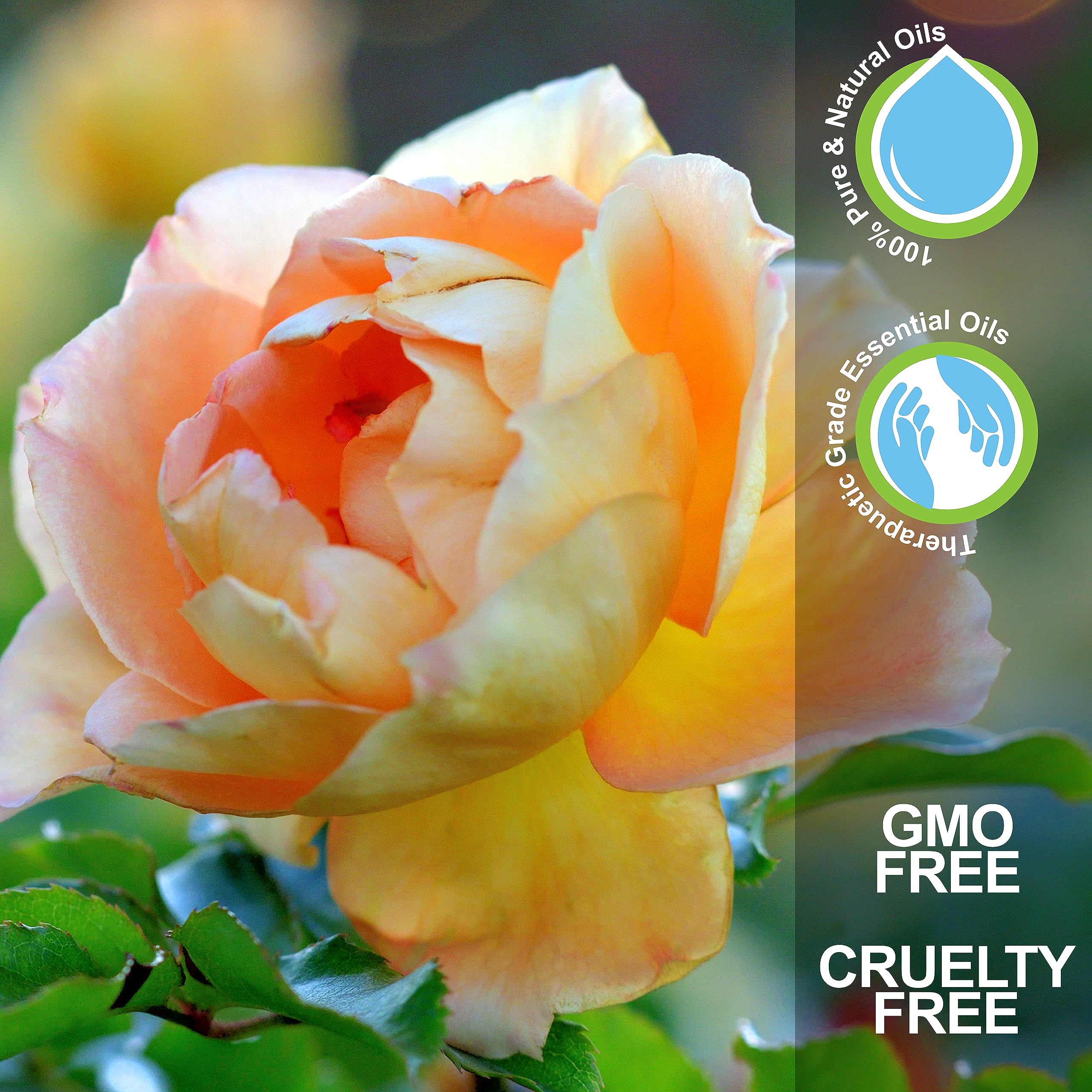 NV Superfoods Cycle Support - Essential Oil Roll-On - 10 ml – 100% Pure Therapeutic Grade