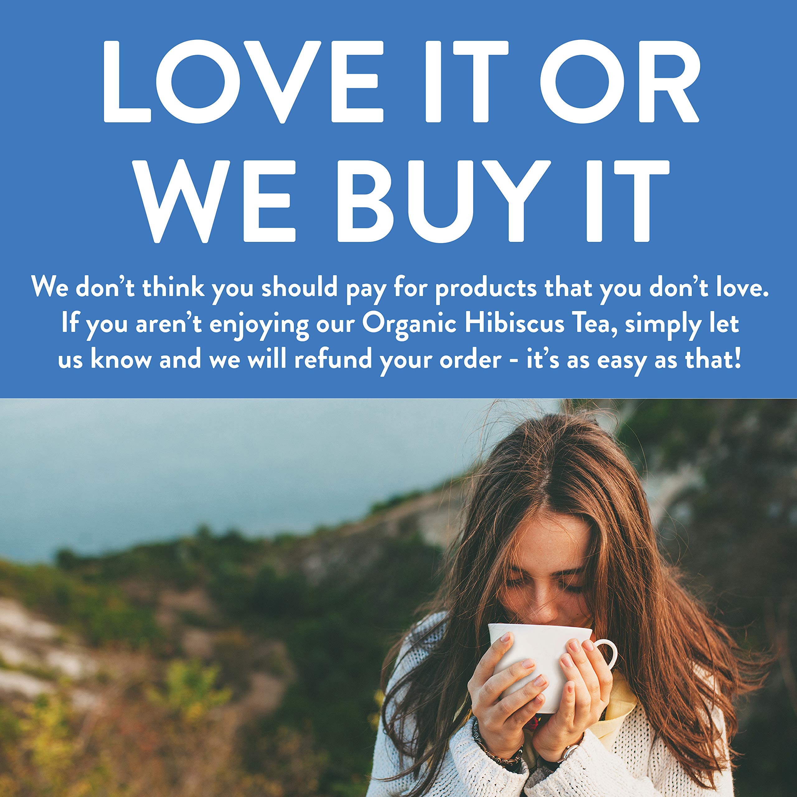 FGO Organic Hibiscus Tea, Eco-Conscious Tea Bags, 100 Count, Packaging May Vary