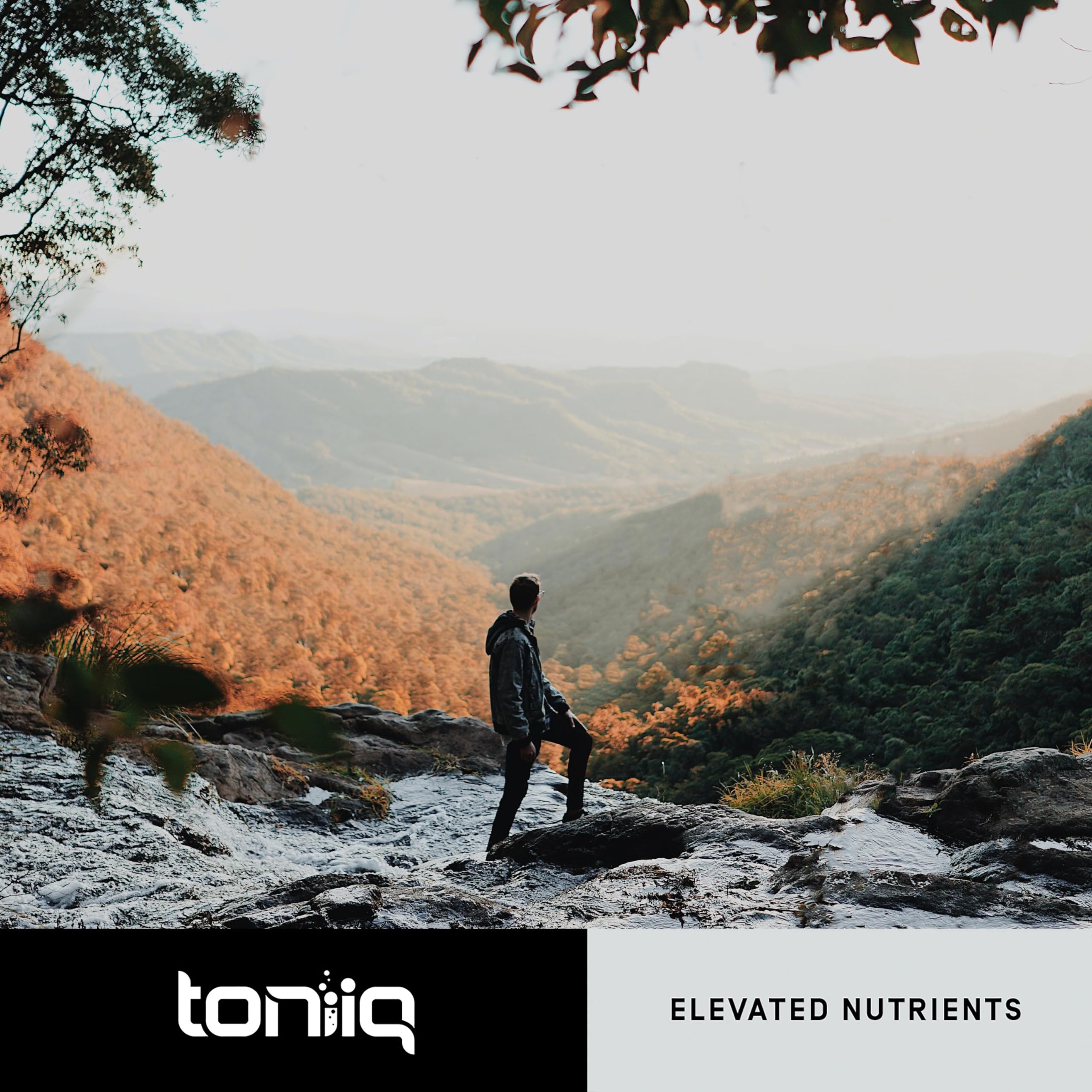 Toniiq 18,000mg 15x Concentrated Artichoke Extract Capsules - Ultra Concentrated