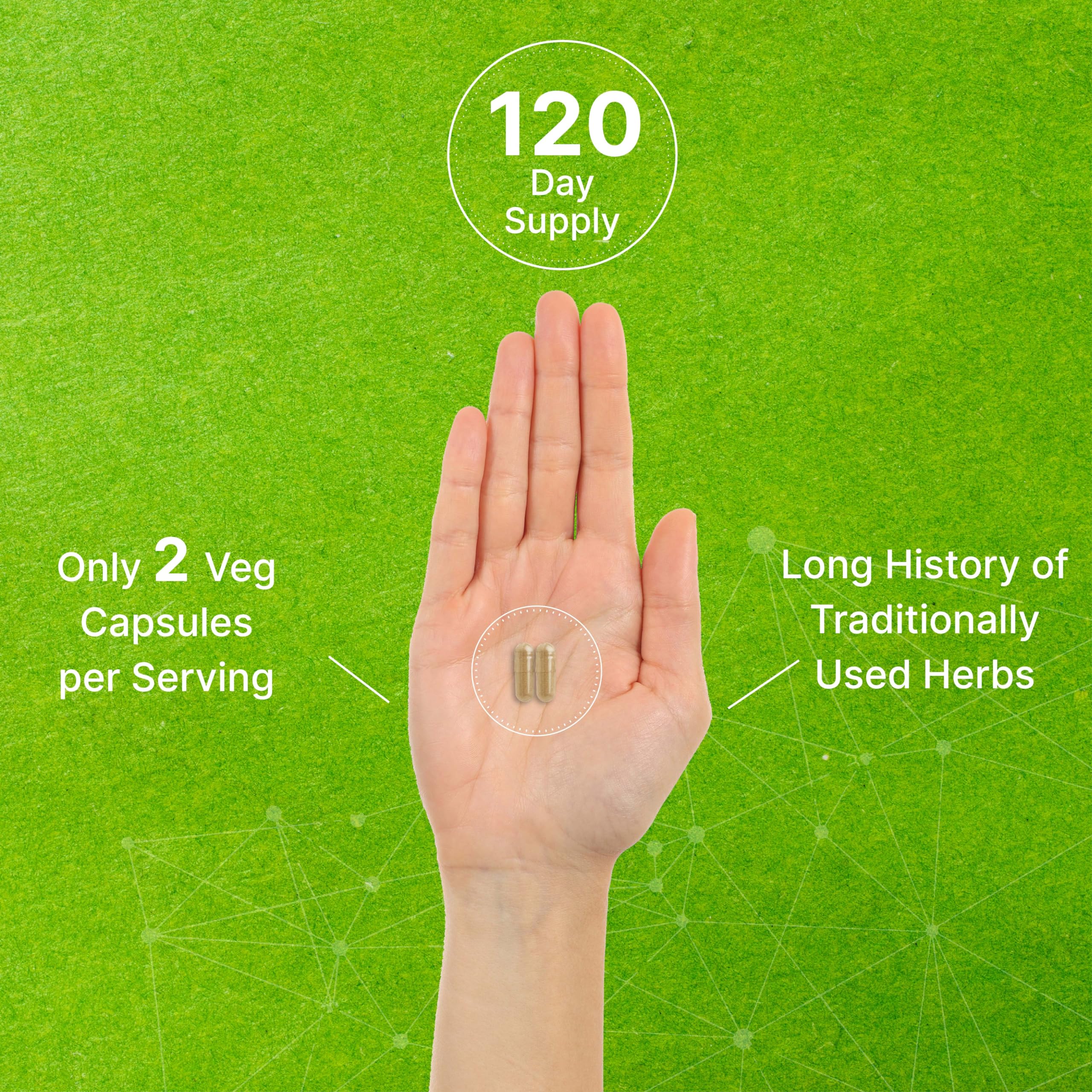 Vitex Supplement for Women – Vitex Chasteberry Supplement 1000mg Per Serving Plus Dong Quai Root