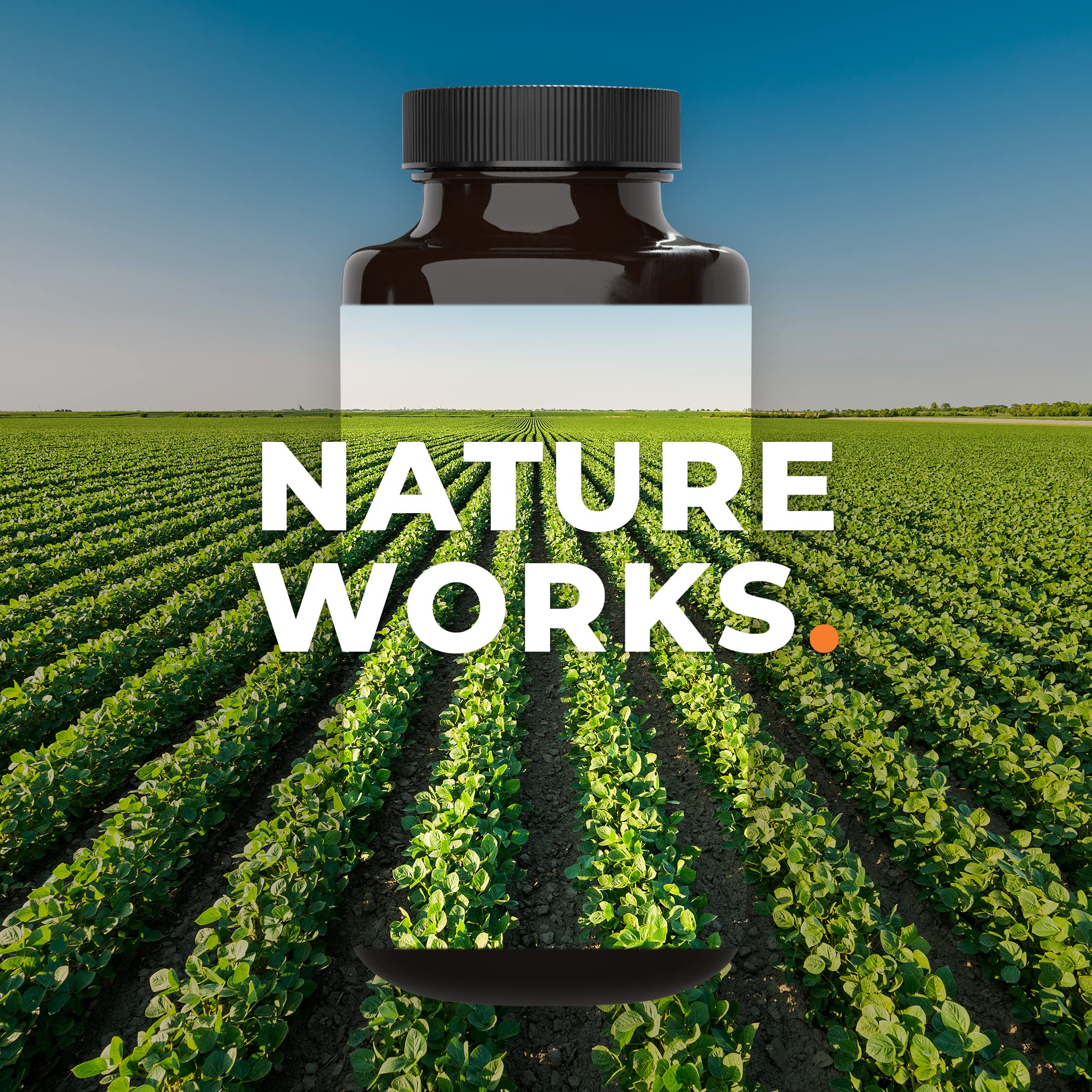 PreMense-T - PMS Relief Supplement - Ginger, Cramp Bark, Black Cohosh, Dong Quai, Chasteberry & Vitamin B6