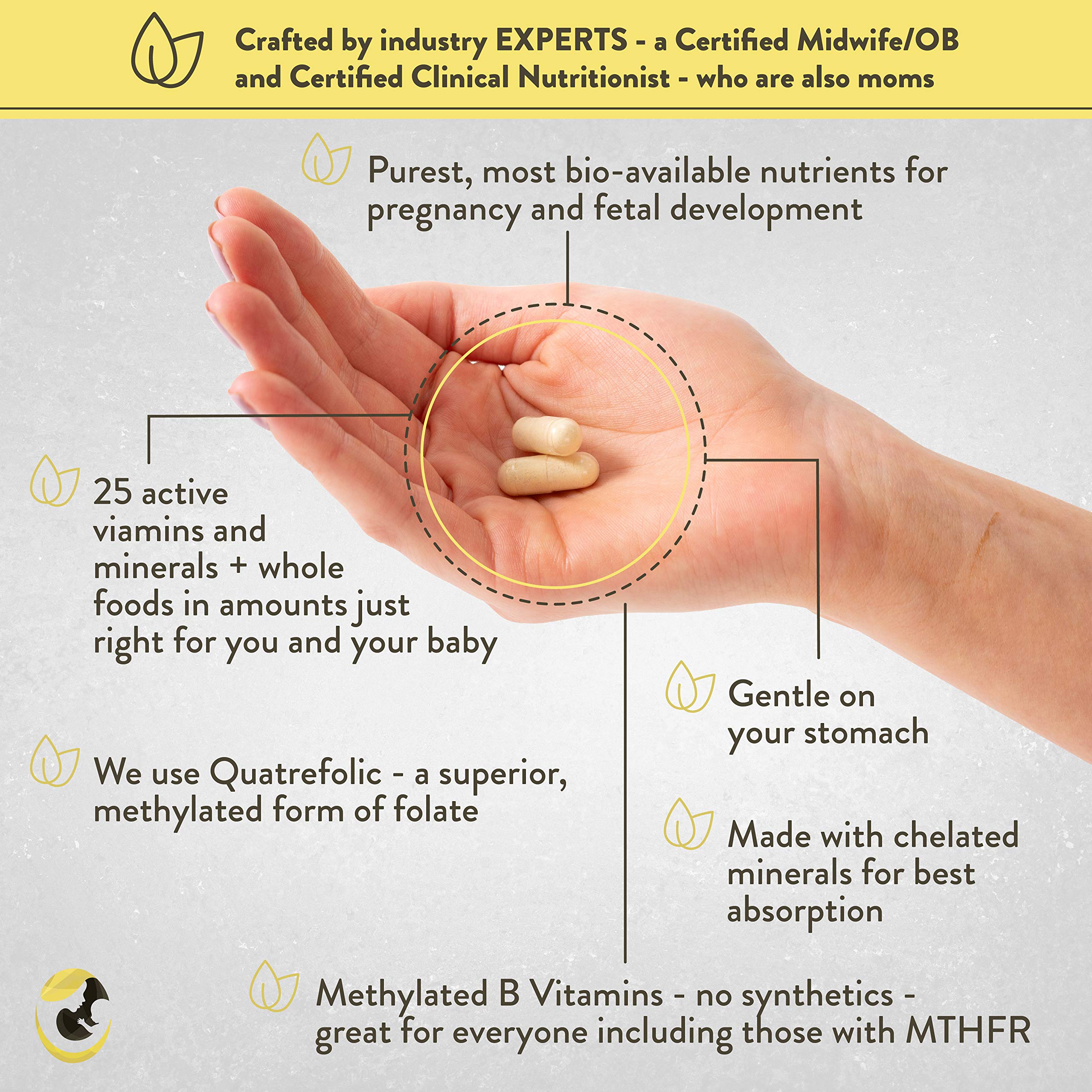 Vibrant Beginning Folate Prenatal Vitamins for Women, Non-GMO Whole Food Daily Pregnancy