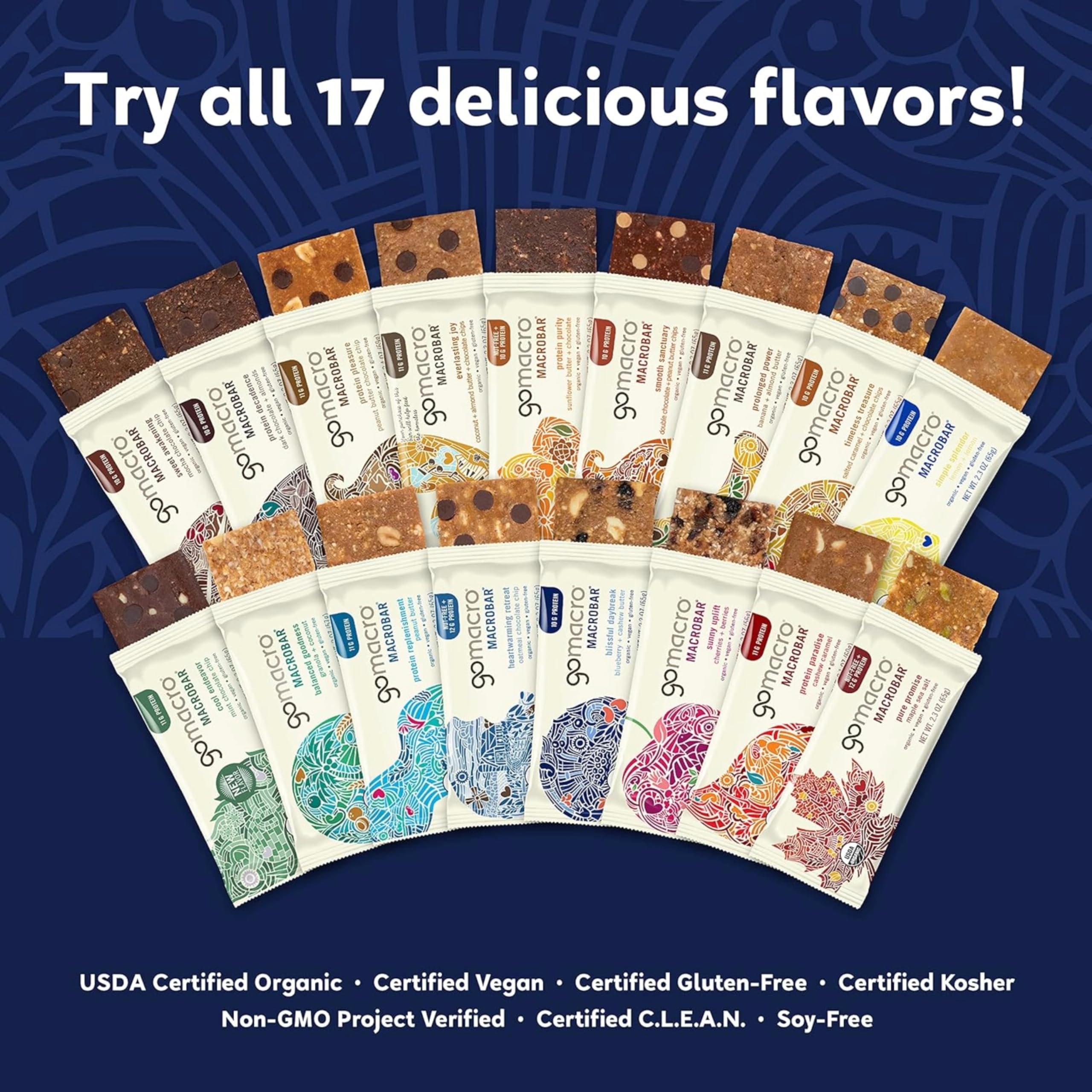 GoMacro Macrobar Organic Vegan Protein Bars - Blueberry + Cashew Butter , 2.3 Ounce