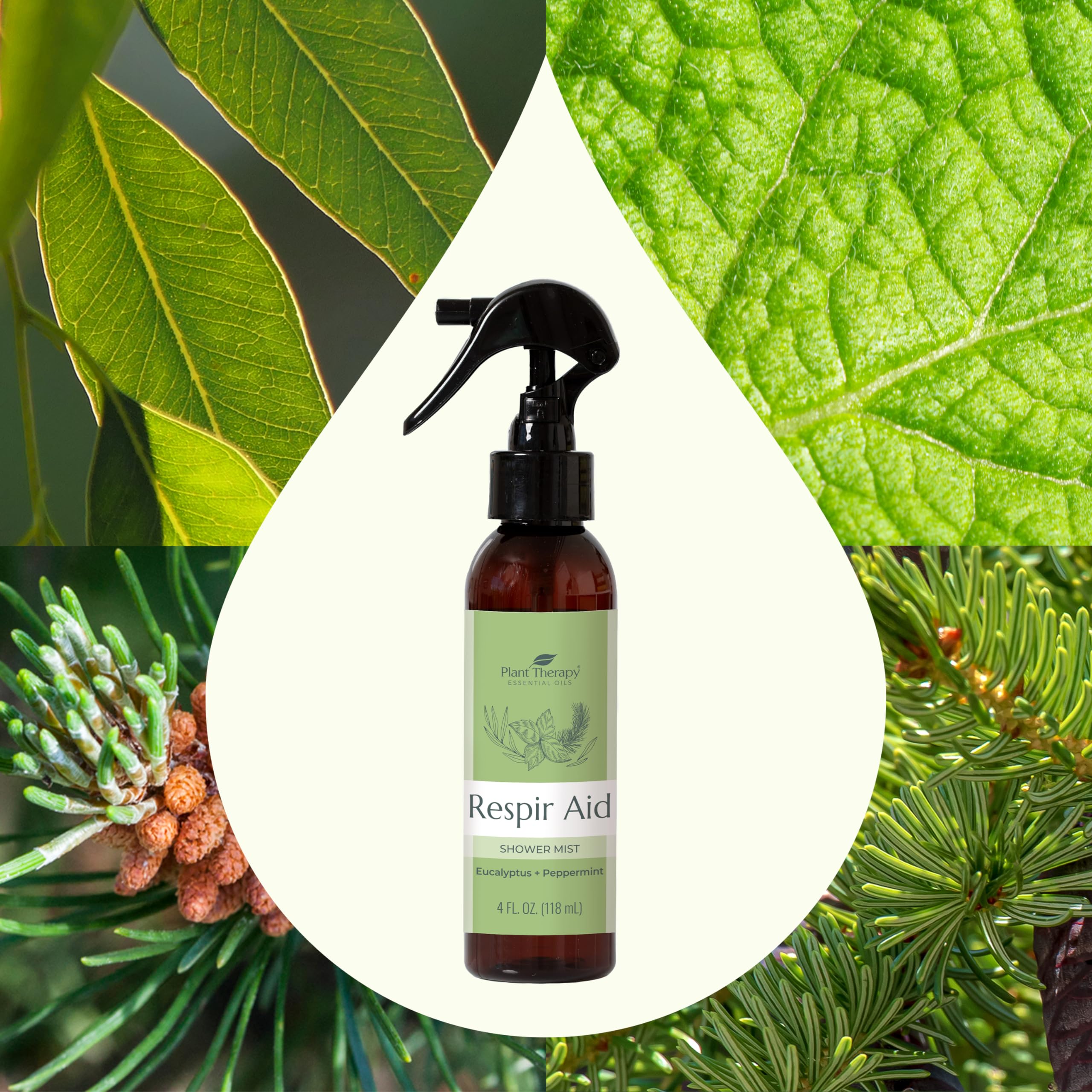Plant Therapy Respir Aid Shower Mist 4 oz Refreshing & Crisp Aroma, Great to Help Clear Congestion